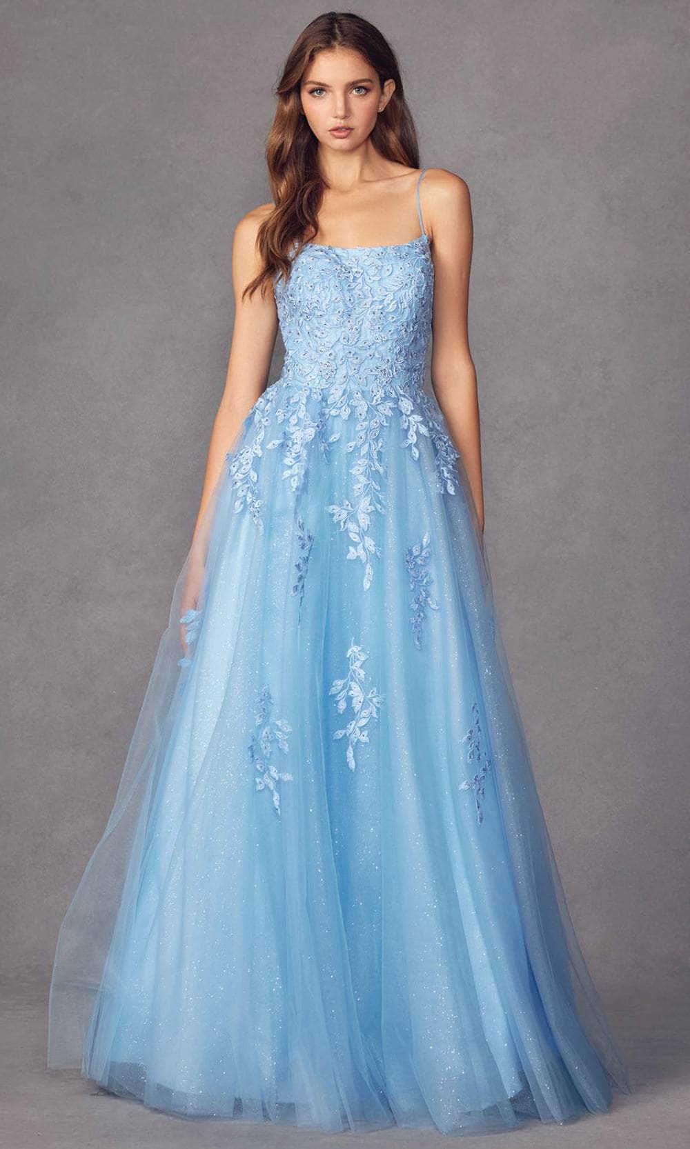 Juliet Dresses 260 - Applique Tulle Prom Dress Special Occasion Dress XS / Powder Blue