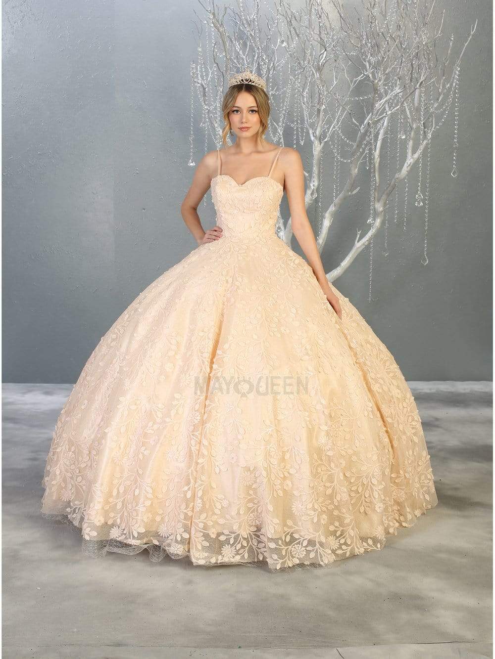 May Queen - LK150 Spaghetti Strap Embroidered Foliage Ballgown Quinceanera Dresses 4 / Champagne