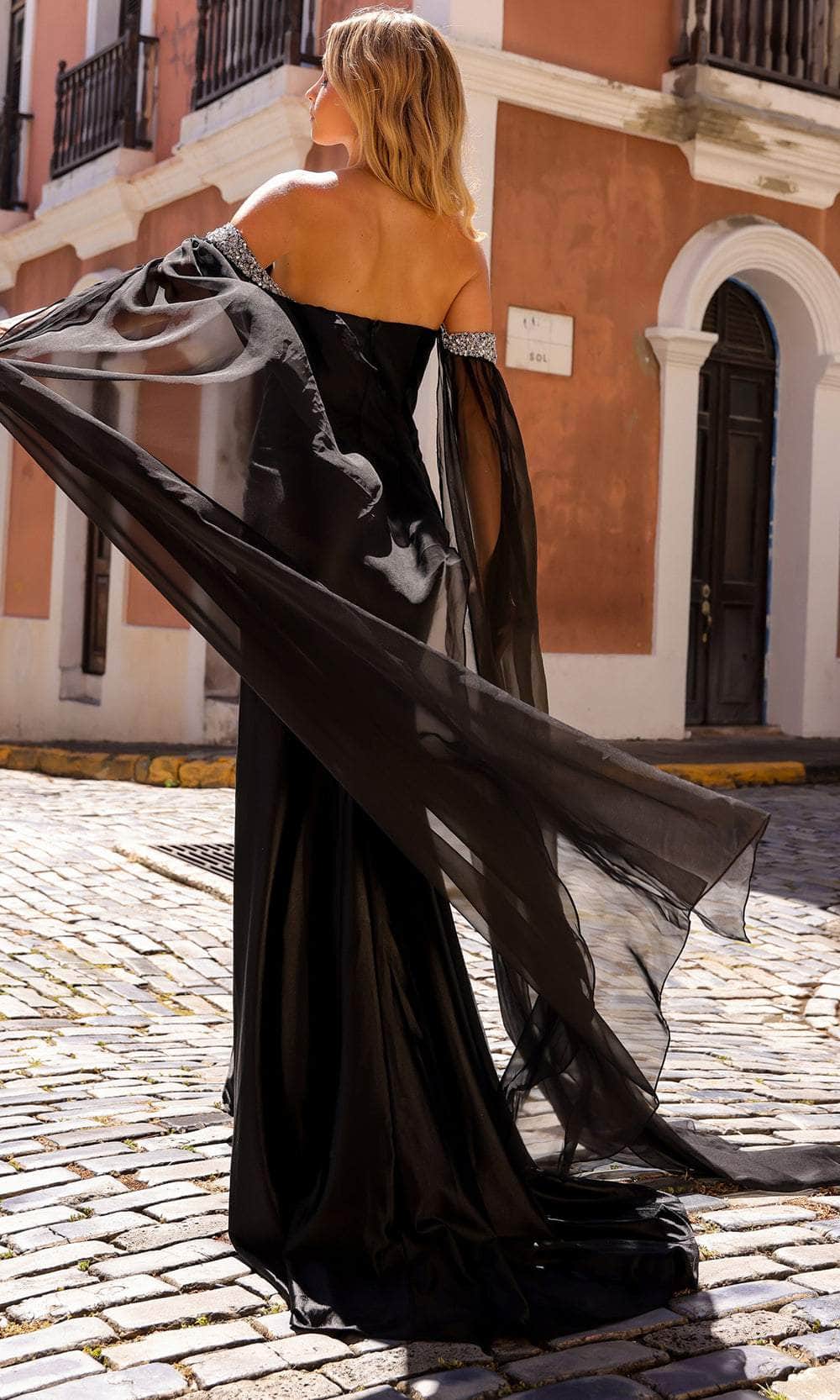 Nox Anabel R1312 - Sheer Cascade Sheath Prom Dress Special Occasion Dresses