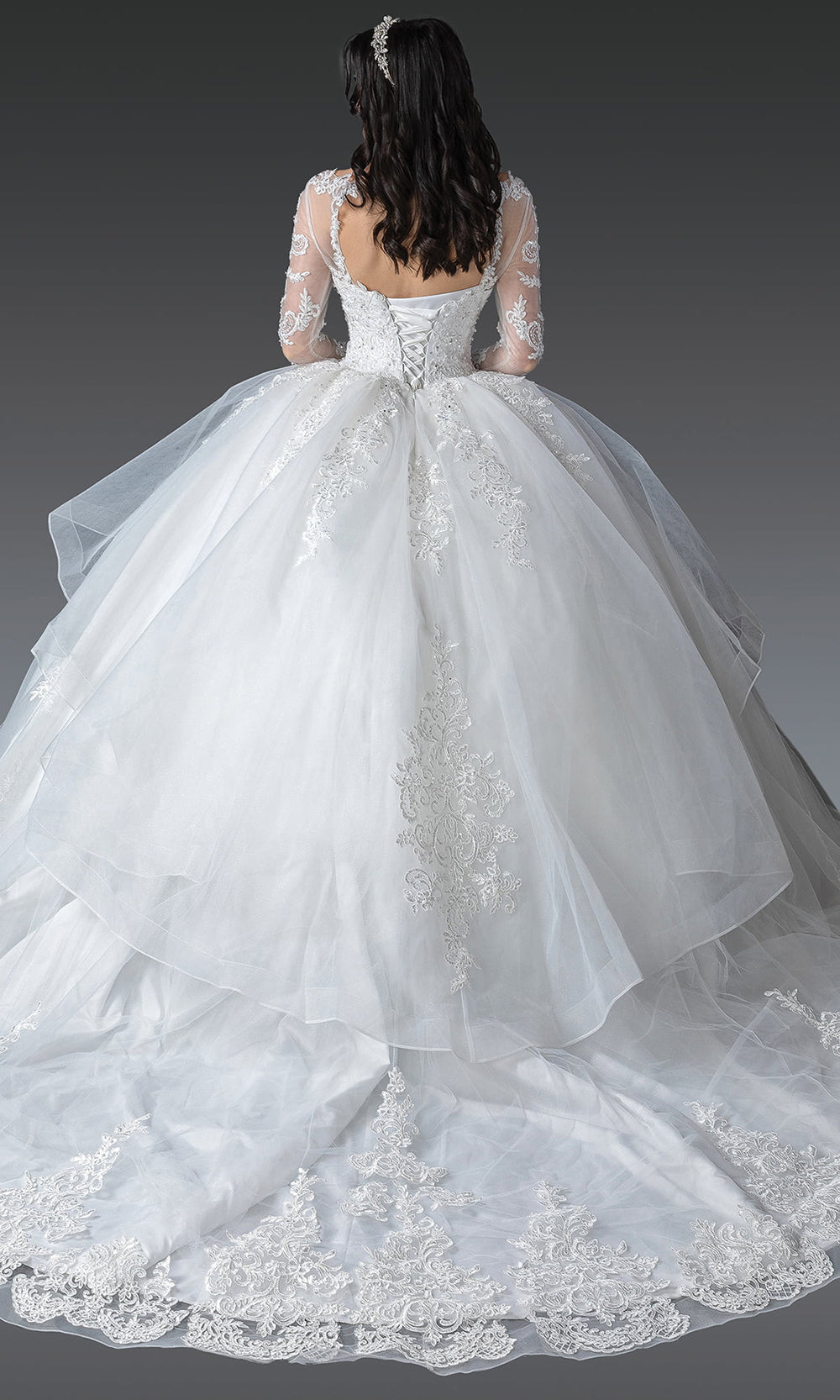 Dancing Queen Bridal 0280 - Illusion Neckline Embroidered Lace Ballgown Bridal Dresses in White