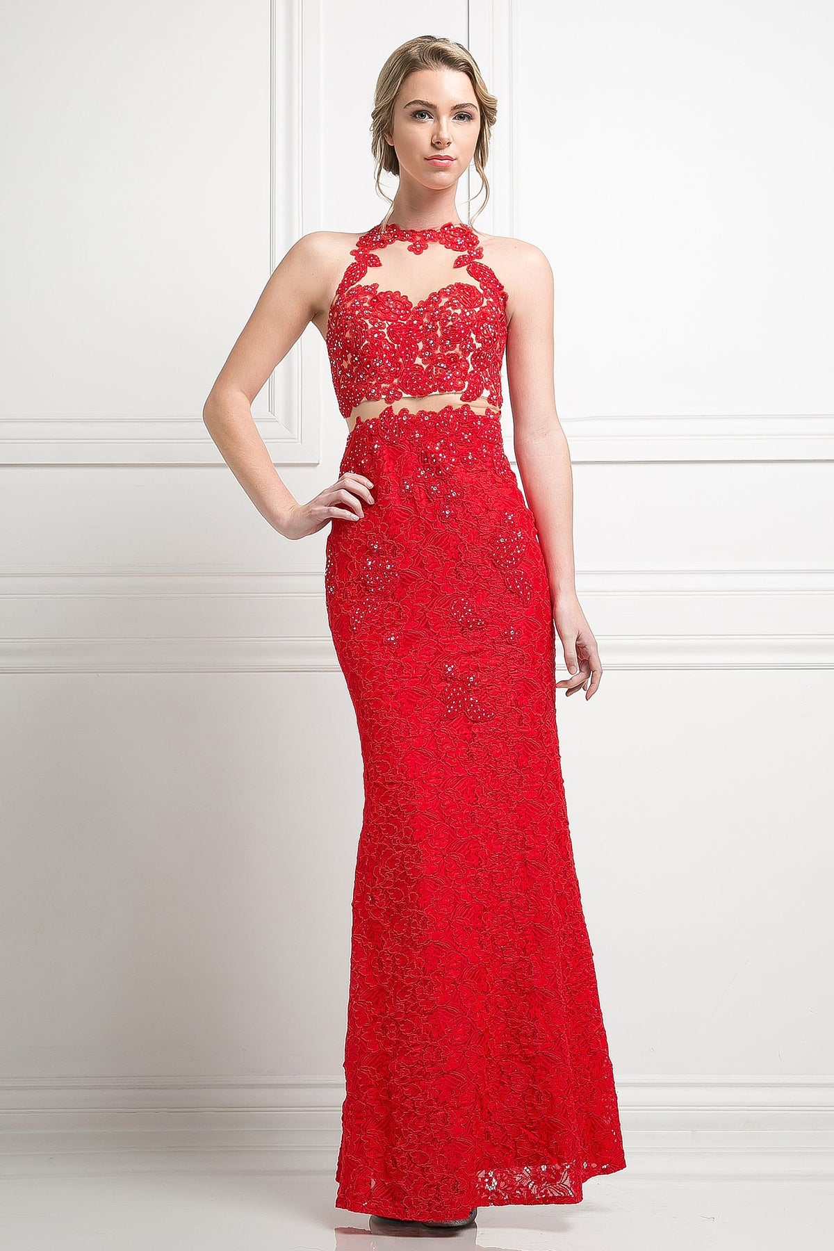 Ladivine 1586 - Beaded Lace Sheath Long Dress