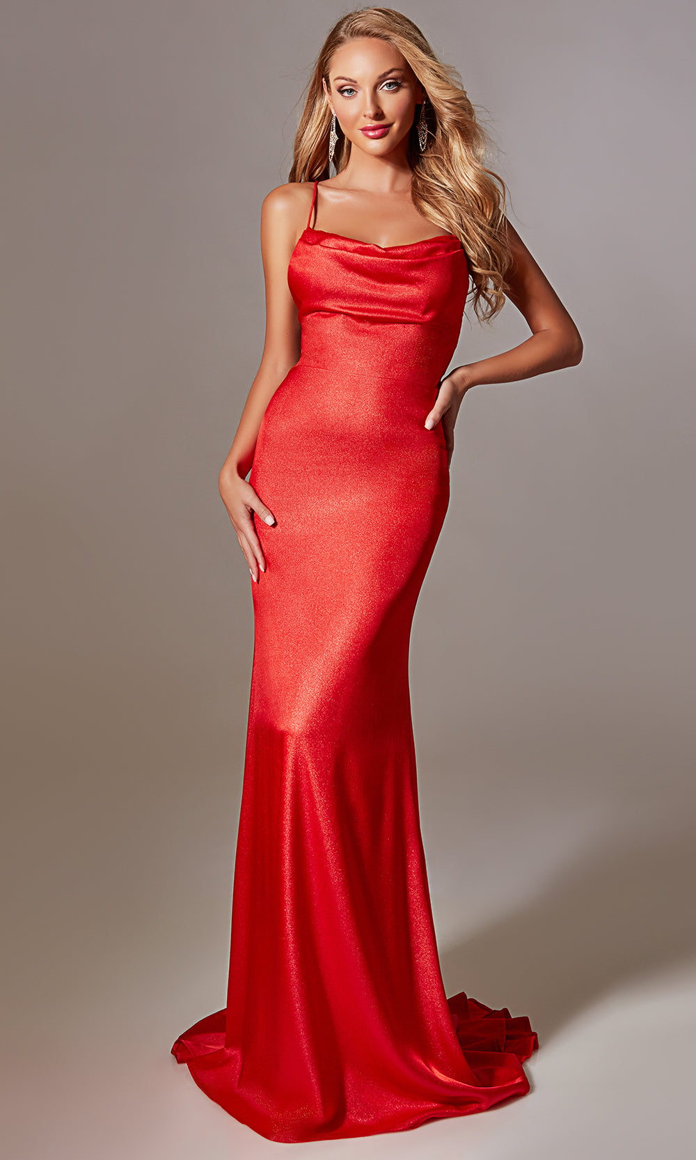 Aerie Couture 224 - Shimmer Fitted Gown with Elegant Sweep Train Prom Dresses
