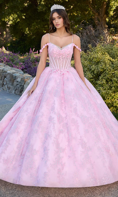 Ashley Lauren 30113 - V-Neck 3D Floral Applique Ballgown Quinceanera Dresses