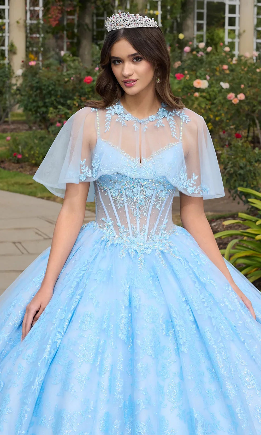 Ashley Lauren 30113 - V-Neck 3D Floral Applique Ballgown Ball Gowns