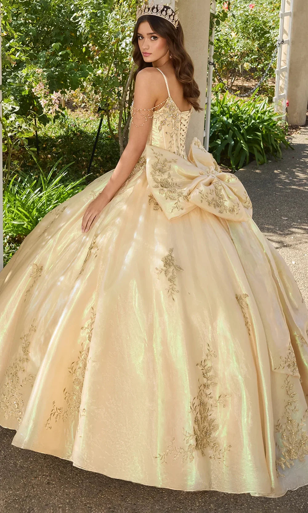 Ashley Lauren 30114 - Floral Lace V-Neckline Ballgown Ball Gowns