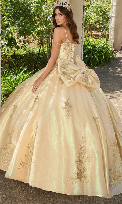 Ashley Lauren 30114 - Floral Lace V-Neckline Ballgown Ball Gowns