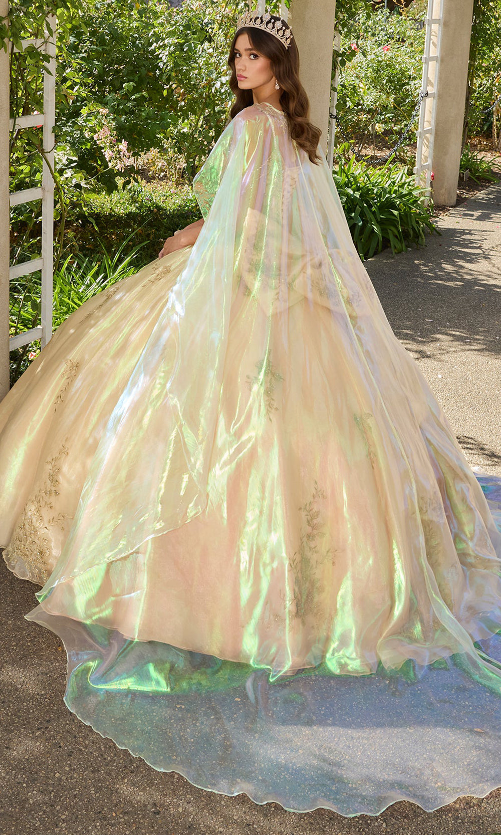 Ashley Lauren 30114 - Floral Lace V-Neckline Ballgown Ball Gowns