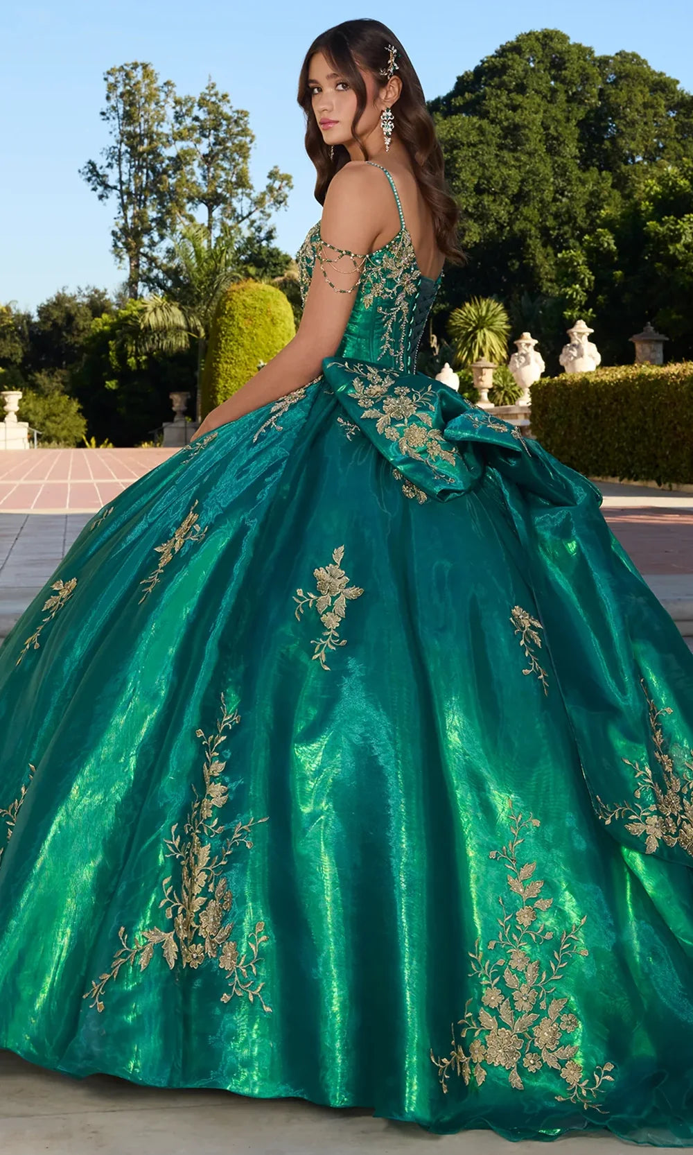 Ashley Lauren 30114 - Floral Lace V-Neckline Ballgown Ball Gowns