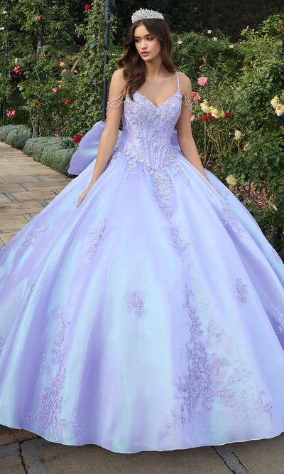 Ashley Lauren 30114 - Floral Lace V-Neckline Ballgown Ball Gowns