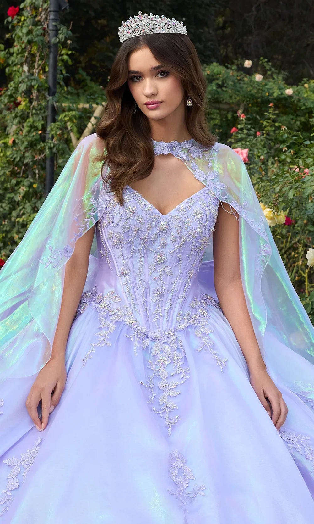 Ashley Lauren 30114 - Floral Lace V-Neckline Ballgown Ball Gowns