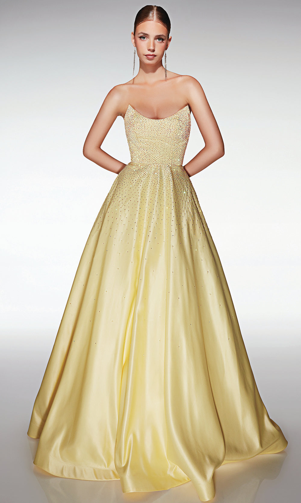 Aerie Couture 411 - Lace Up Back Formal Ball Gown Prom Dresses