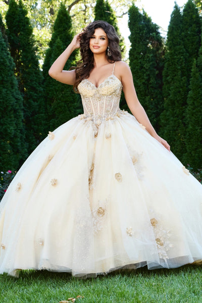 Jovani Q44559 - Floral Applique Spaghetti Strap Ballgown Quinceanera Dresses Accent In Neutral 