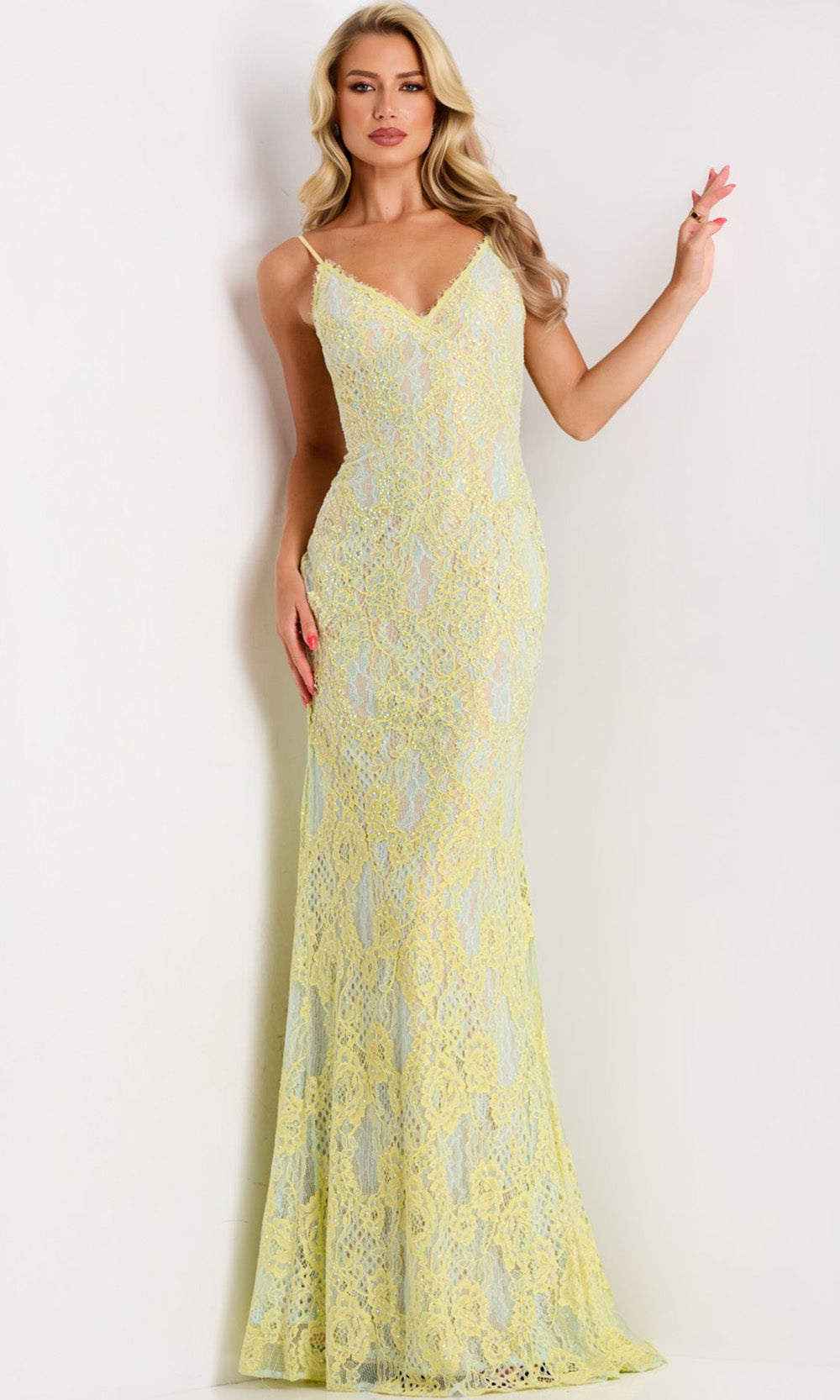 Jovani 44668 - Scalloped Trim V-Neck Lace Gown