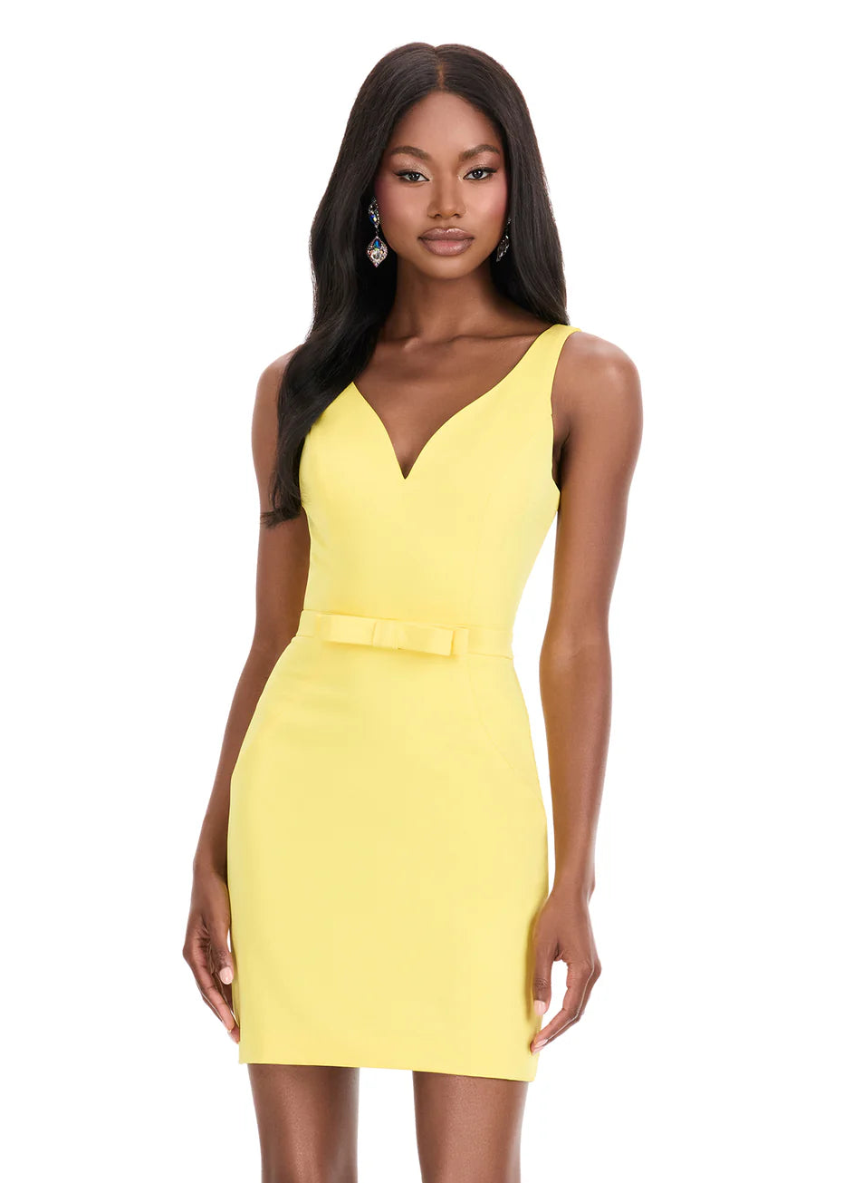 Ashley Lauren 4835 - Fitted Sleeveless V-Back Dress