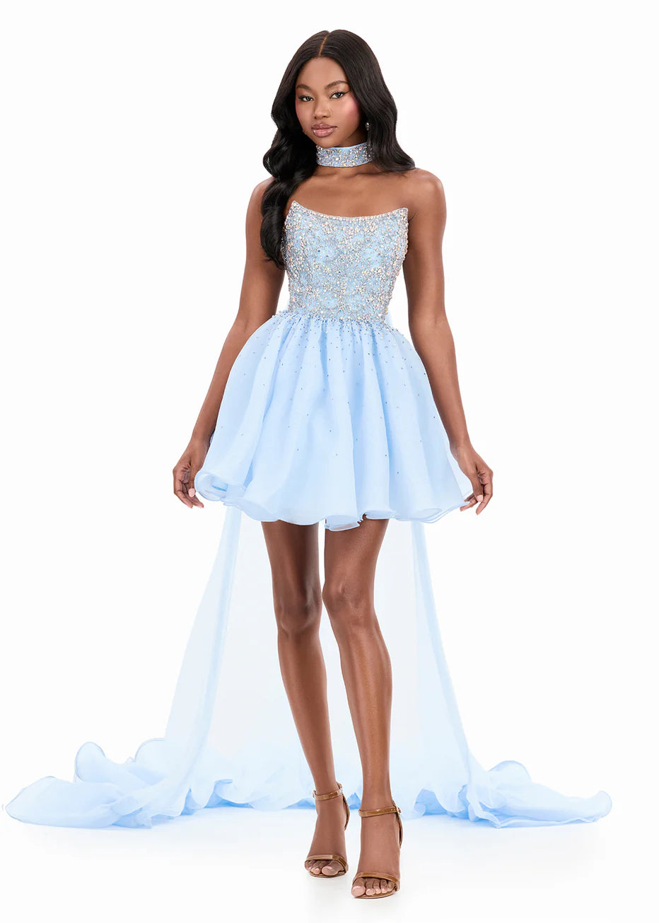 Ashley Lauren 4965 - Straight Neckline Short Organza Dress