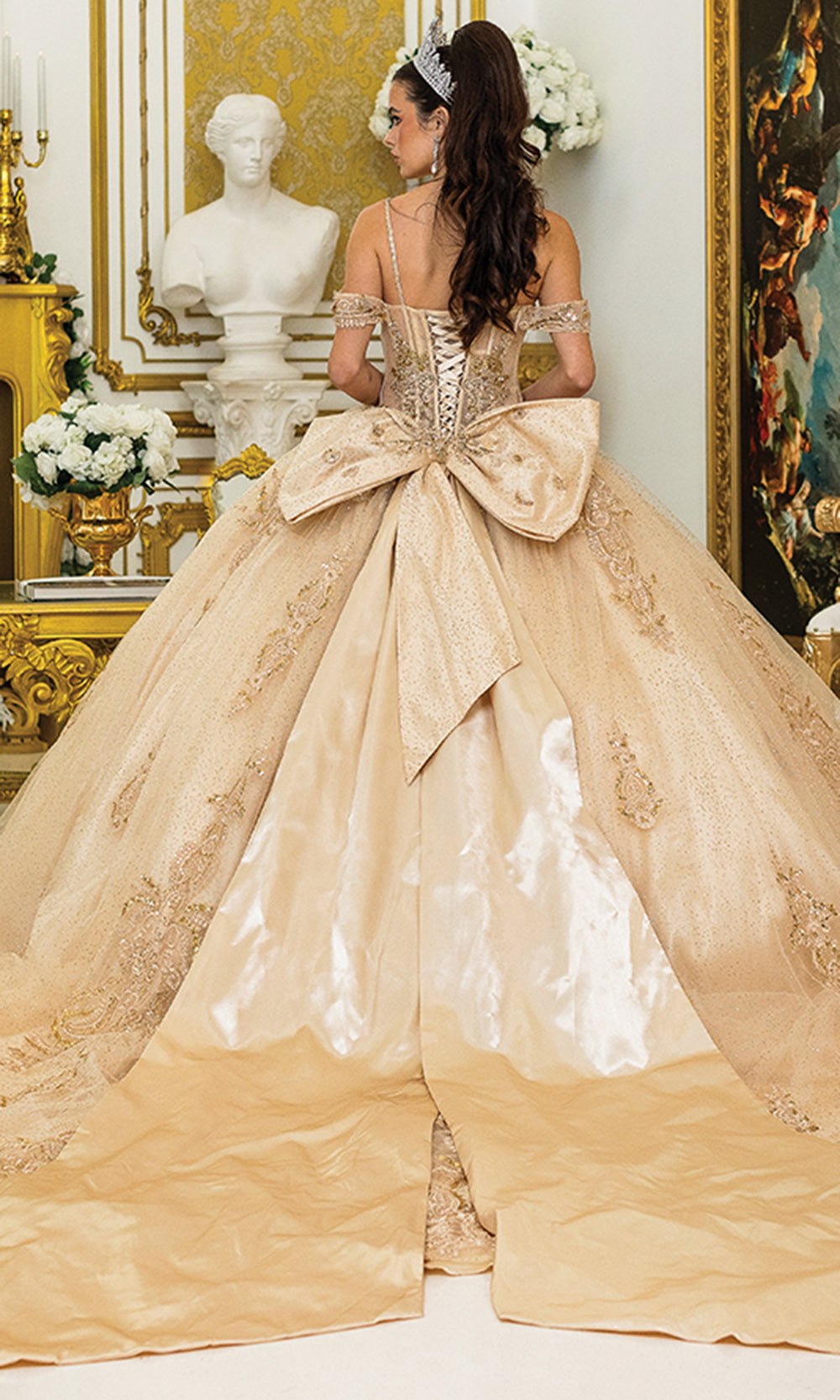 Dancing Queen 5052 - Glitter Tulle Lace Applique Ballgown Quinceanera Dresses
