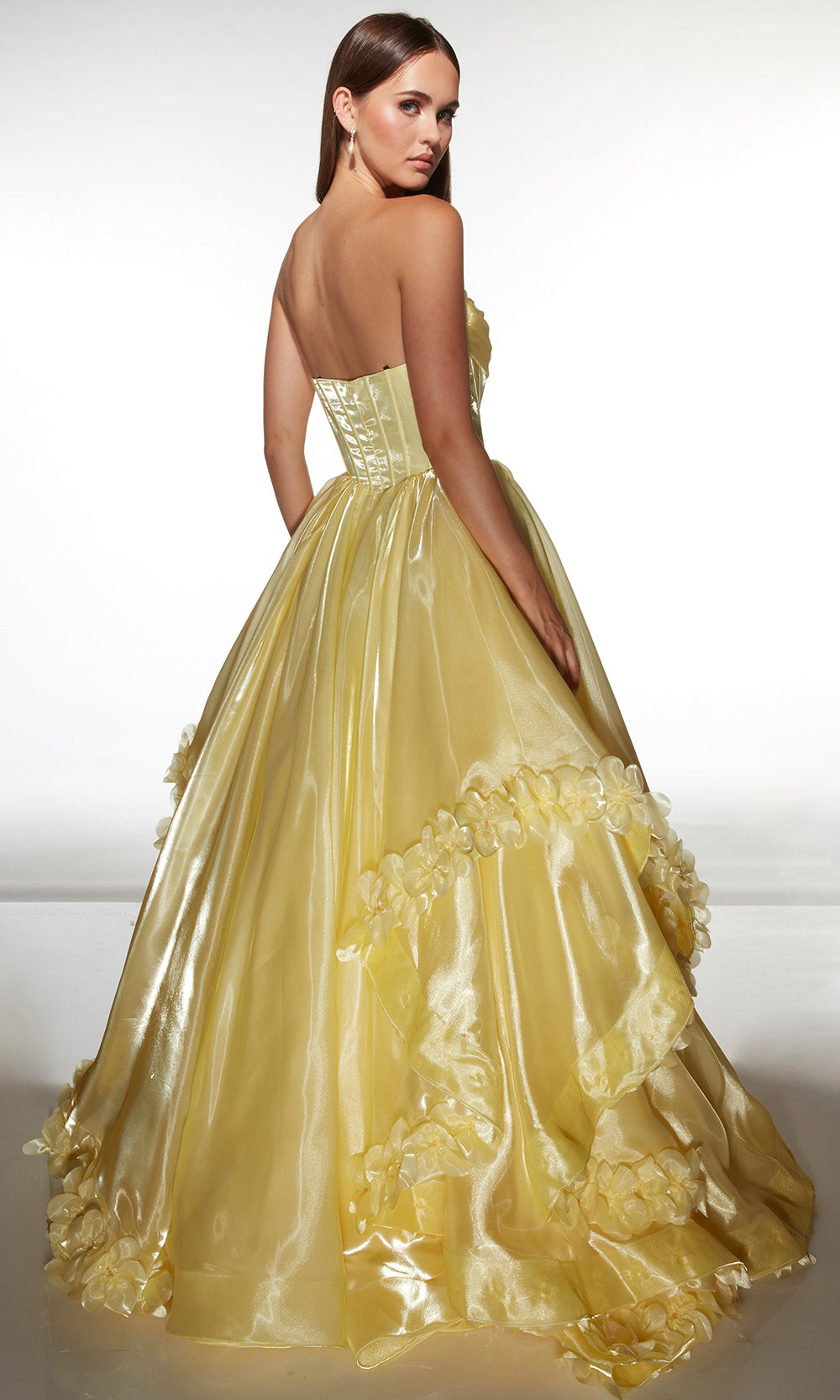 Alyce Paris 62014 - Pleated Corset Gown with Luxe Full Skirt Prom Dresses