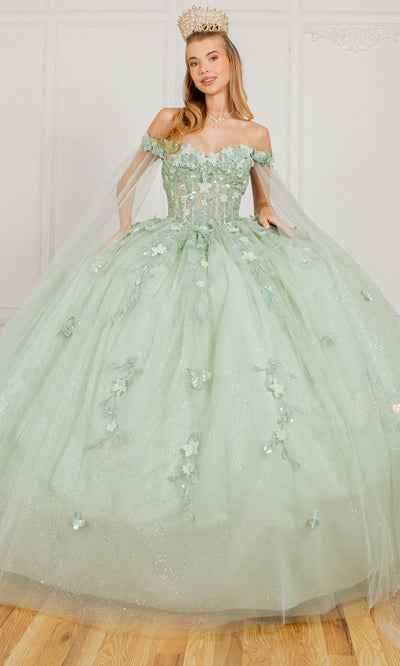 Cinderella Couture 8075J - Sweetheart Applique Quinceanera Gown Cinderella Couture 8075J - Sweetheart Applique Quinceanera Gown