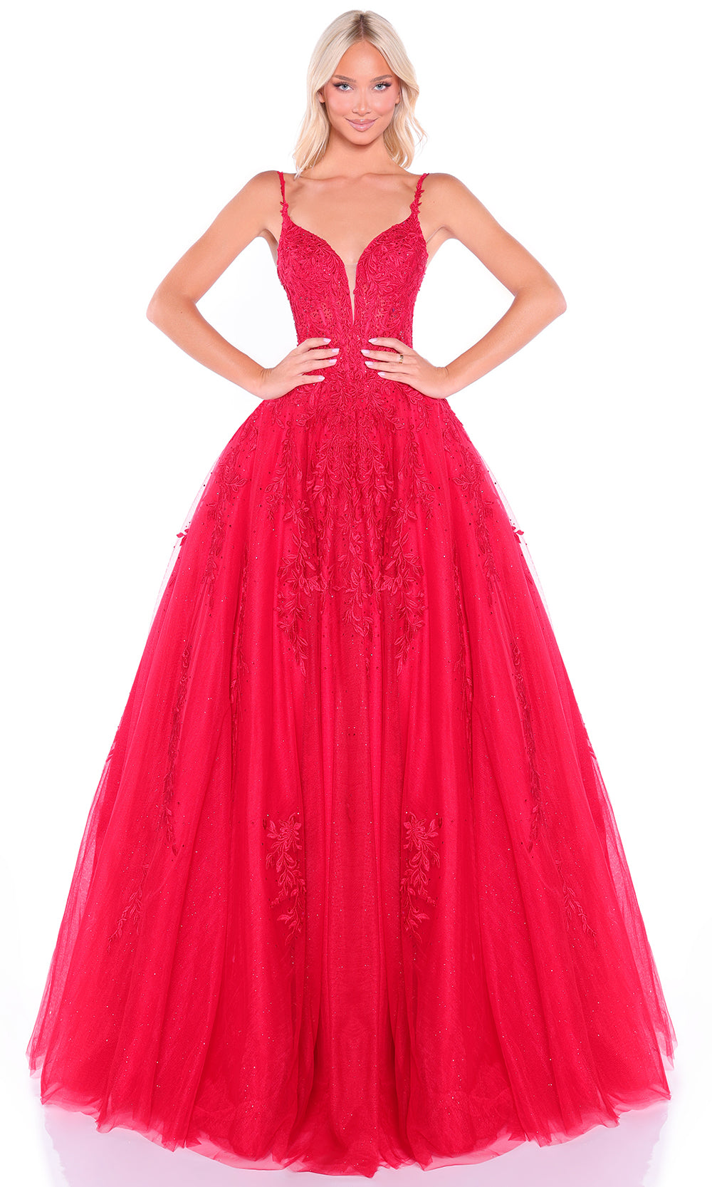 Amarra 89509 - Sleeveless Corset Prom Dress with Embroidery Prom Dresses