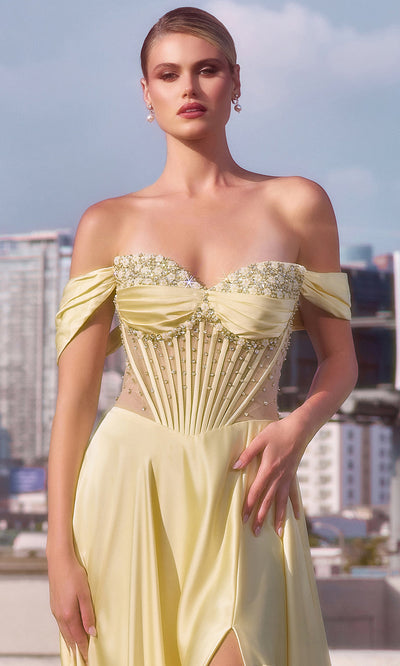Ladivine CD297 - Illusion A-Line Evening Dress