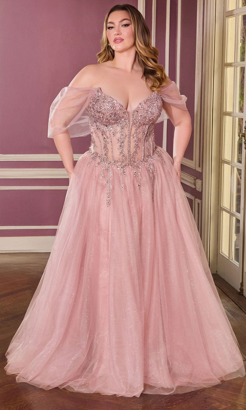 Ladivine CD721C - Illusion Draped Sleeve A-Line Tulle Gown Prom Dresses in Mauve