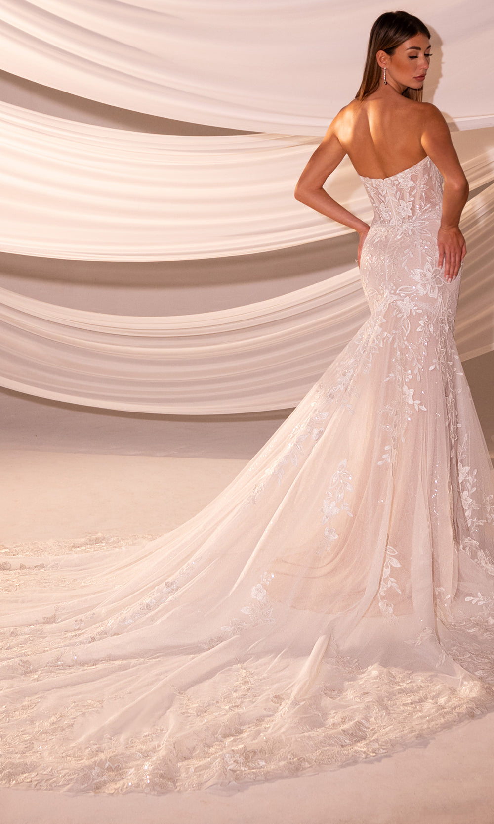 Rachel Allan RB5101 - Strapless Wedding Gown with Sheer Cape Wedding Dresses