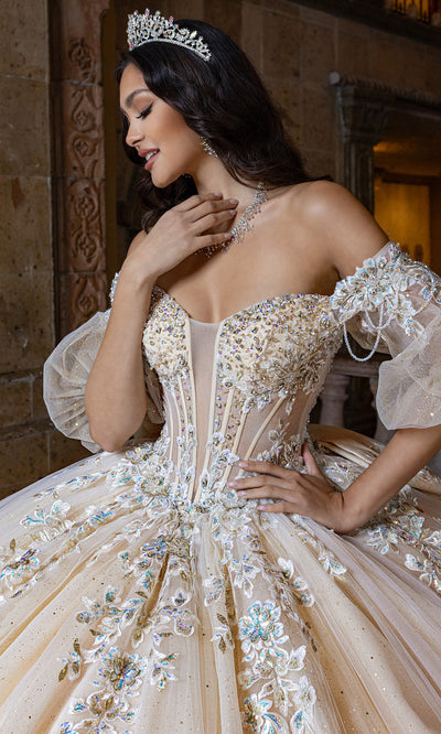 Rachel Allan RQ1165 - Floral Embroidered Puff Sleeve Tulle Gown Quinceanera Dresses