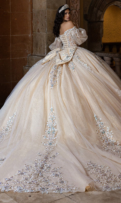 Rachel Allan RQ1165 - Floral Embroidered Puff Sleeve Tulle Gown Quinceanera Dresses