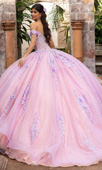 Rachel Allan RQ1166 - Basque Waist Sweetheart Gown with Appliques Quinceanera Dresses