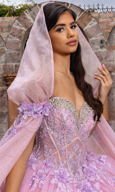 Rachel Allan RQ1166 - Basque Waist Sweetheart Gown with Appliques Quinceanera Dresses