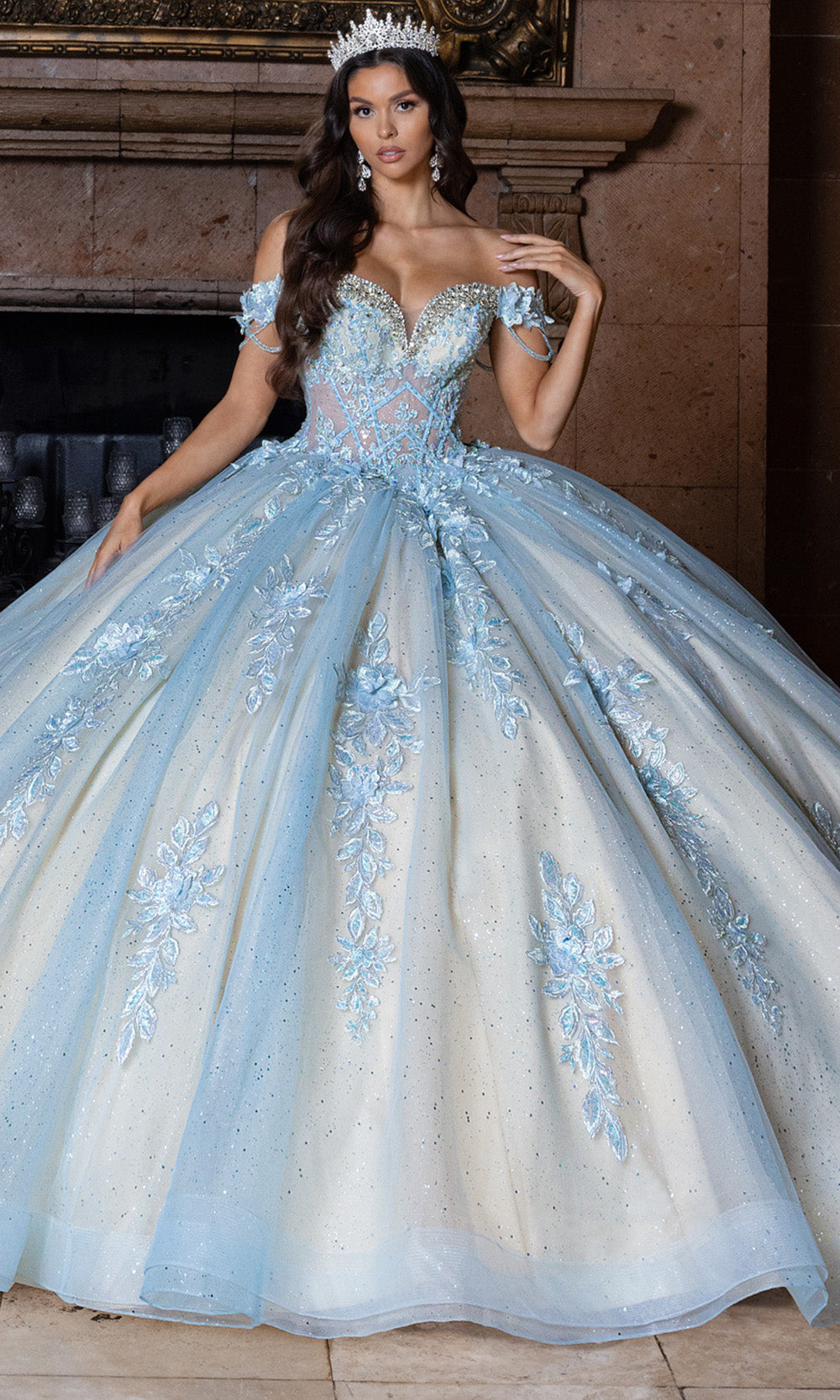 Rachel Allan RQ1166 - Basque Waist Sweetheart Gown with Appliques Quinceanera Dresses