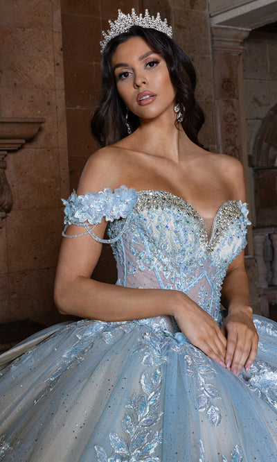 Rachel Allan RQ1166 - Basque Waist Sweetheart Gown with Appliques Quinceanera Dresses