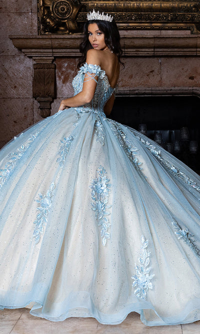 Rachel Allan RQ1166 - Basque Waist Sweetheart Gown with Appliques Quinceanera Dresses