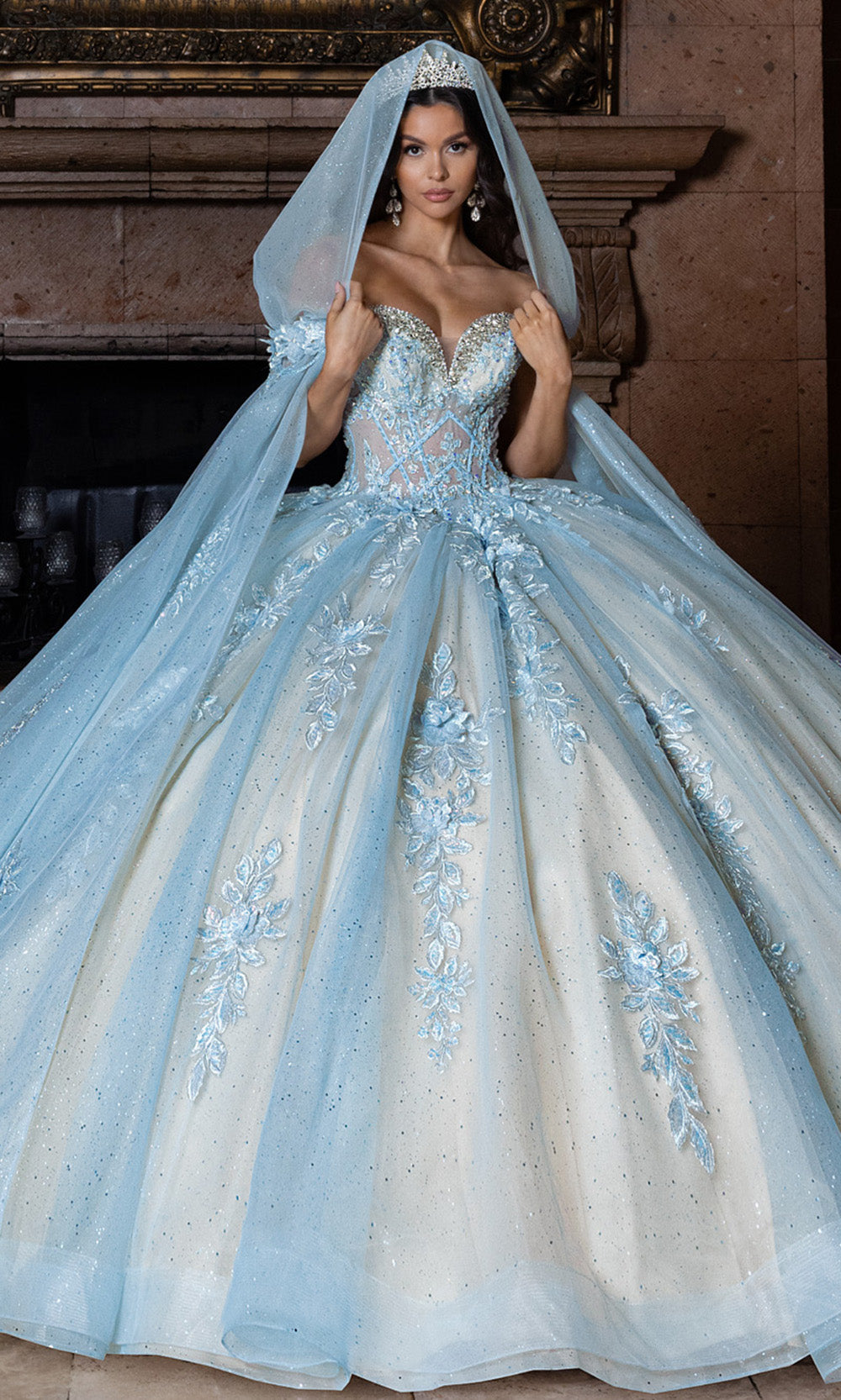 Rachel Allan RQ1166 - Basque Waist Sweetheart Gown with Appliques Quinceanera Dresses
