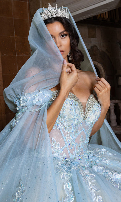 Rachel Allan RQ1166 - Basque Waist Sweetheart Gown with Appliques Quinceanera Dresses