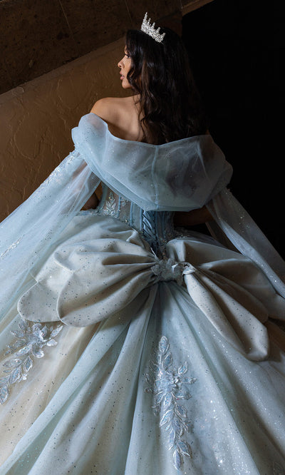 Rachel Allan RQ1166 - Basque Waist Sweetheart Gown with Appliques Quinceanera Dresses