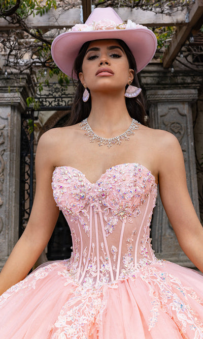 Rachel Allan RQ1169 - Sweetheart Corset Embroidered Quince Gown Quinceanera Dresses