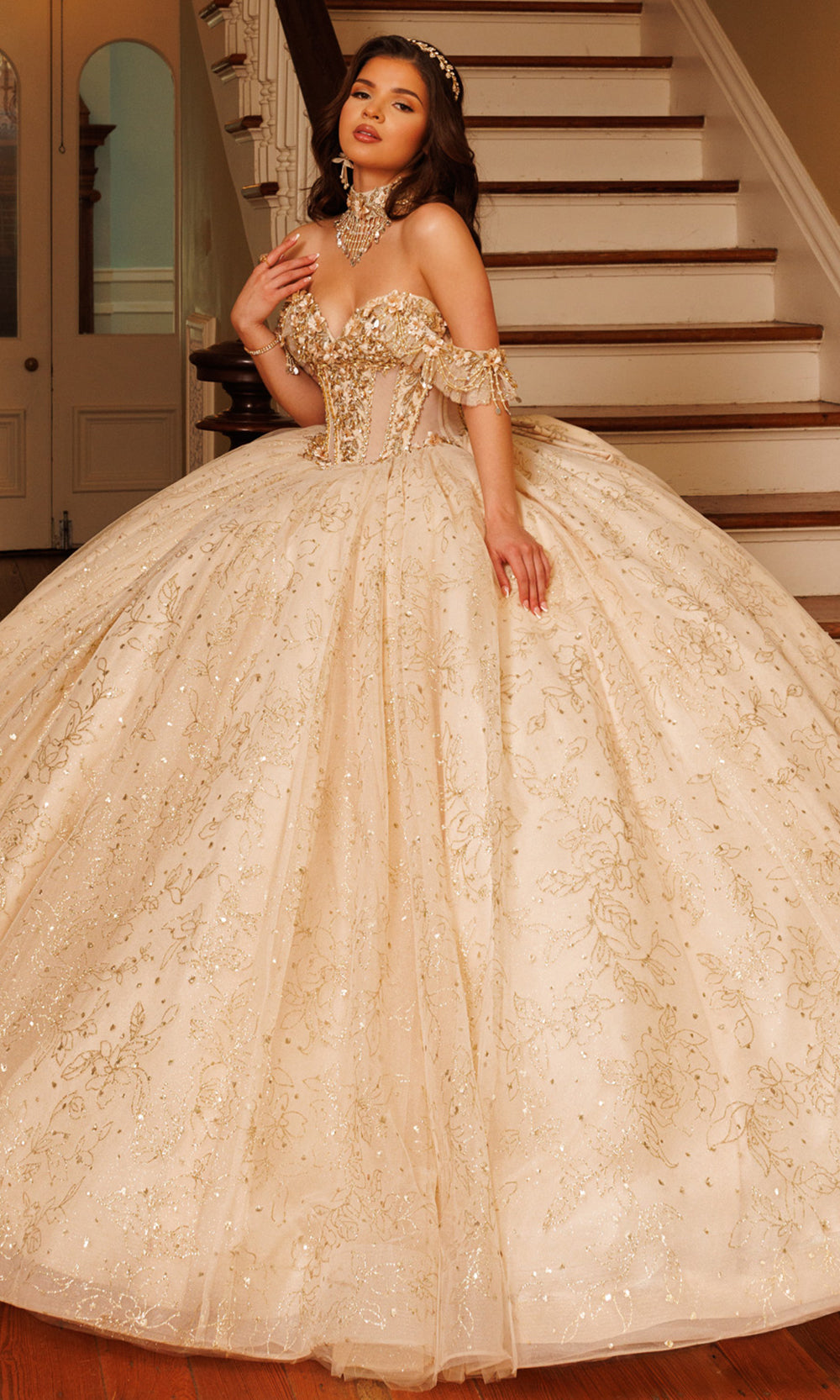 Rachel Allan RQ1192 - Sweetheart Glitter Tulle Gown with Choker Quinceanera Dresses in Neutral Gold   