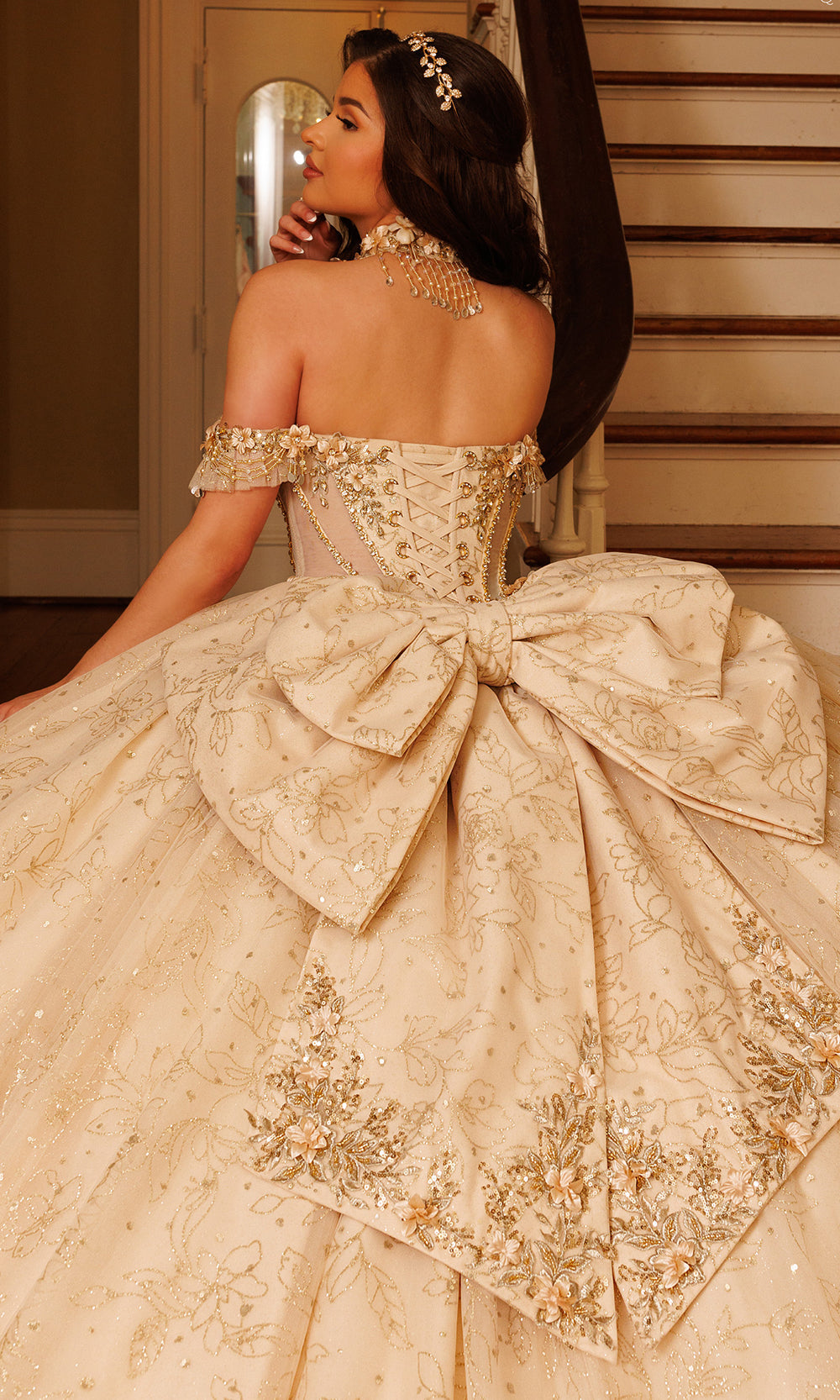 Rachel Allan RQ1192 - Sweetheart Glitter Tulle Gown with Choker Quinceanera Dresses in Neutral Gold   