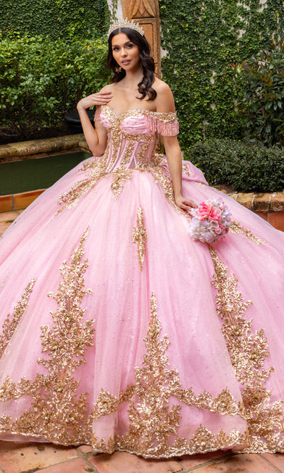 Rachel Allan RQ2225 - Glitter Tulle Strapless Gown with 3D Appliques Quinceanera Dresses