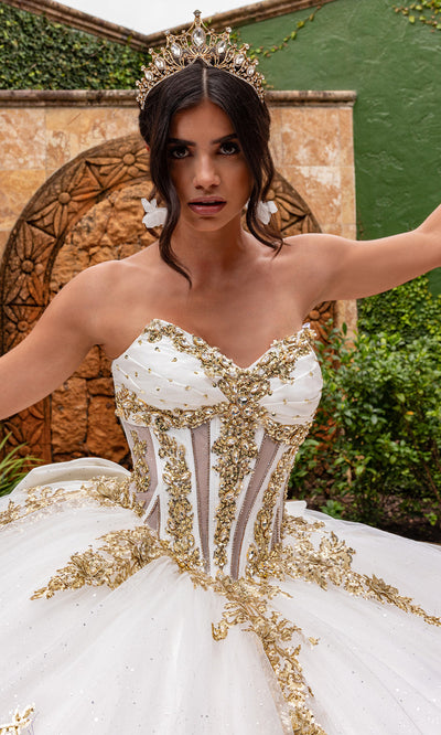 Rachel Allan RQ2225 - Glitter Tulle Strapless Gown with 3D Appliques Quinceanera Dresses