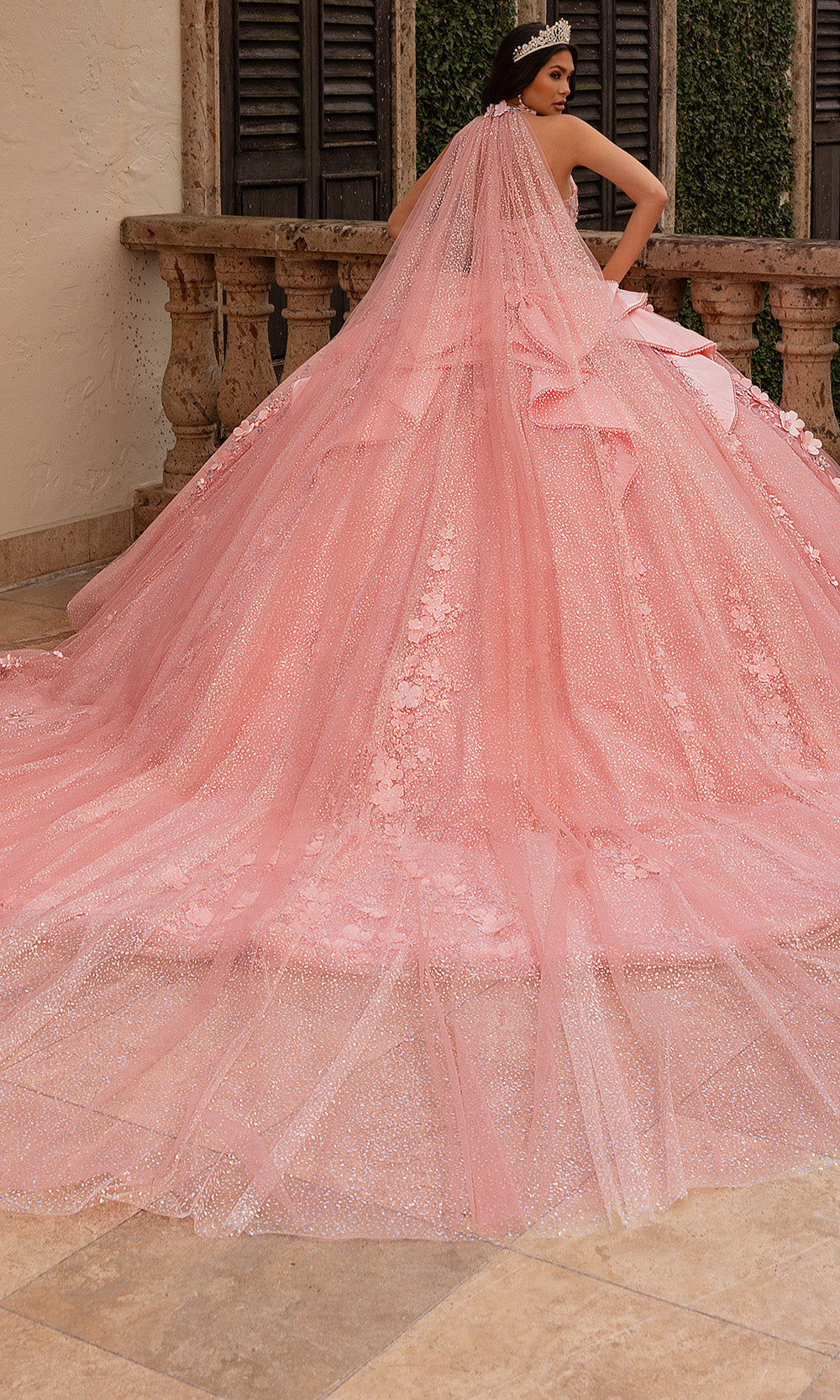 Rachel Allan RQ3162 - Sweetheart Floral Quinceanera Gown Quinceanera Dresses