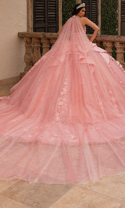 Rachel Allan RQ3162 - Sweetheart Floral Quinceanera Gown Quinceanera Dresses