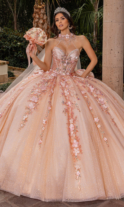 Rachel Allan RQ3162 - Sweetheart Floral Quinceanera Gown Quinceanera Dresses