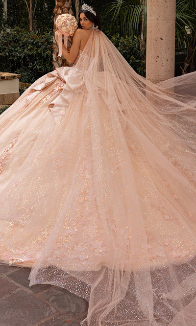 Rachel Allan RQ3162 - Sweetheart Floral Quinceanera Gown Quinceanera Dresses