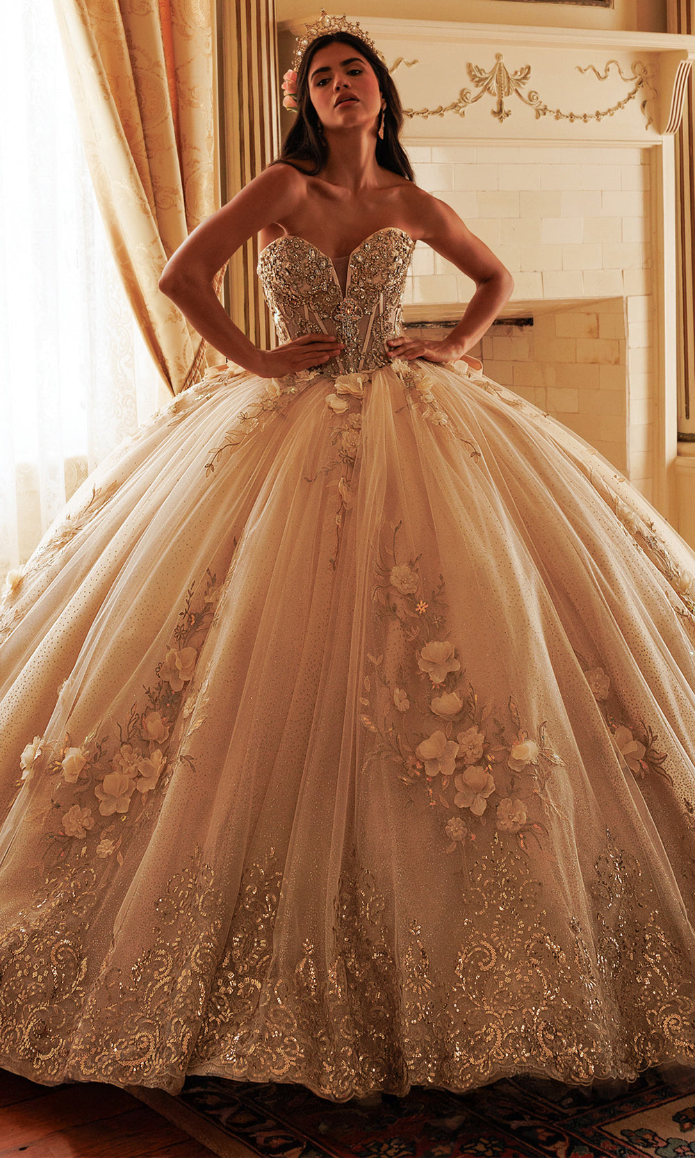 Rachel Allan RQ3180 - Embroidered Illusion Corset Gown with Bow Quinceanera Dresses in Neutral Gold   