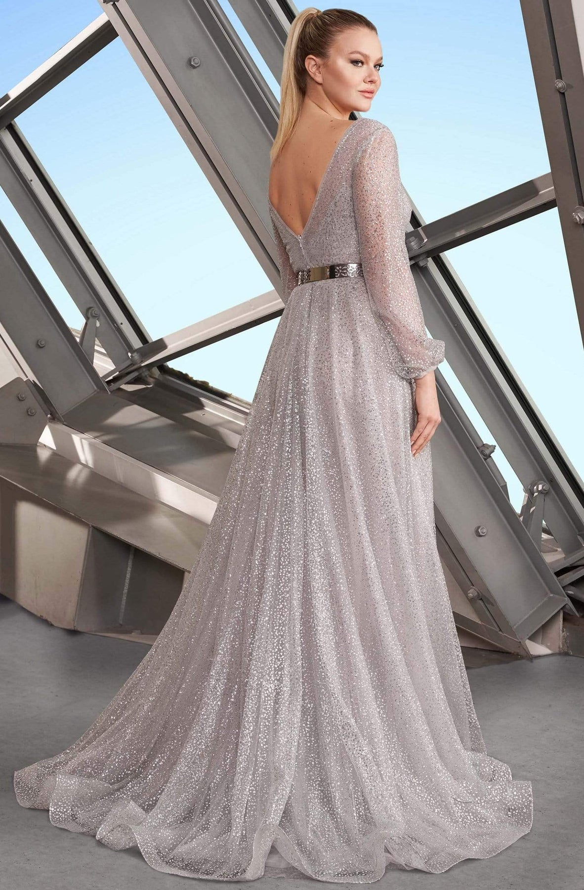 Alexander by Daymor - 1182 V-Neck Long Sleeves A-Line Gown Evening Dresses