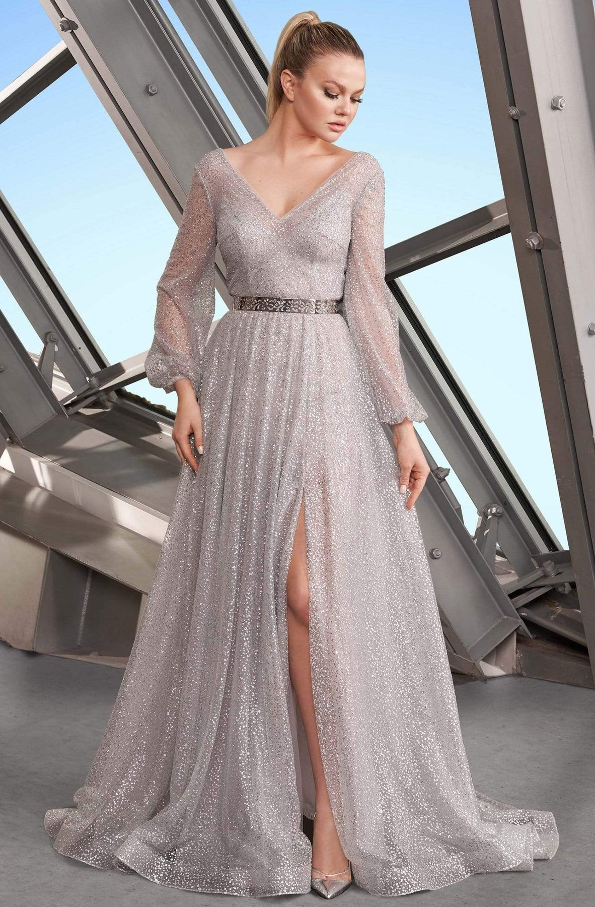 Alexander by Daymor - 1182 V-Neck Long Sleeves A-Line Gown Evening Dresses 4 / Silver