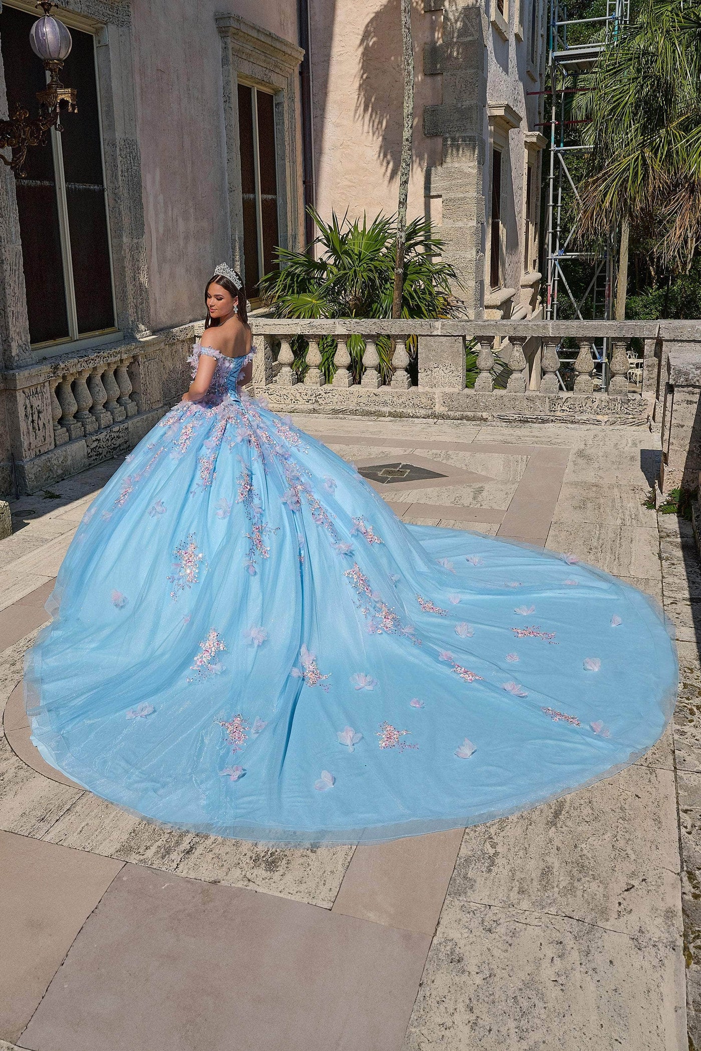 Amarra 54228 - Floral Applique Ballgown Special Occasion Dresses 