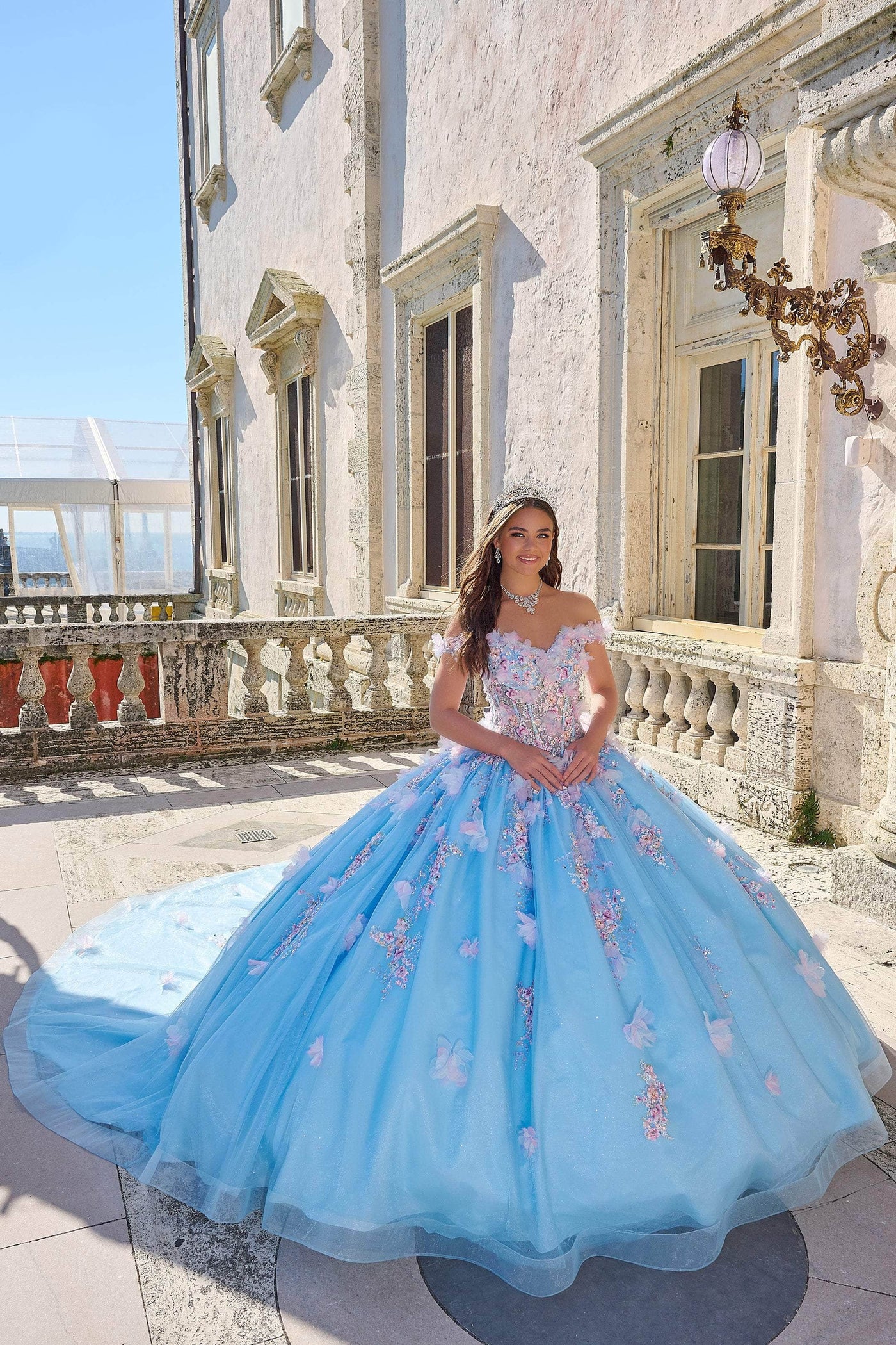 Amarra 54228 - Floral Applique Ballgown Special Occasion Dresses 